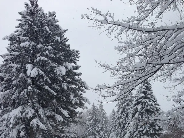 Una calle residencial en Kanata, Ottawa.